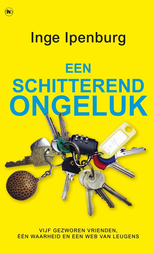 Een schitterend ongeluk - cover