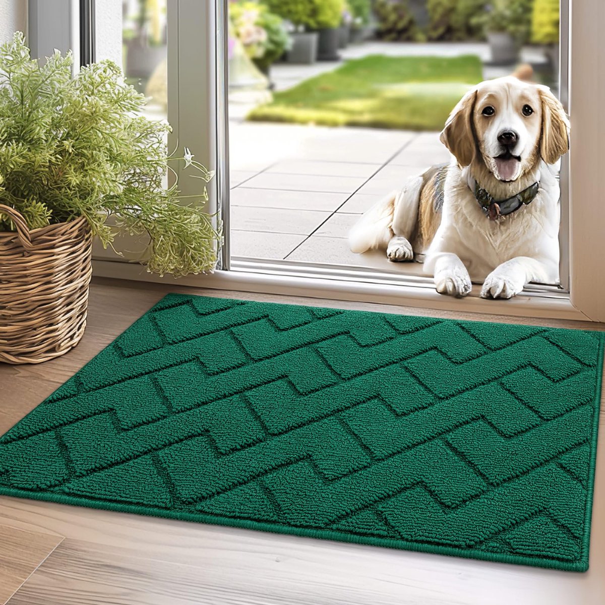 Unyqoos Wasbare Antislip Deurmat voor Binnen en Buiten, Vuilafstotend, Absorberend, 50 x 80 cm, Groen groenblijvend