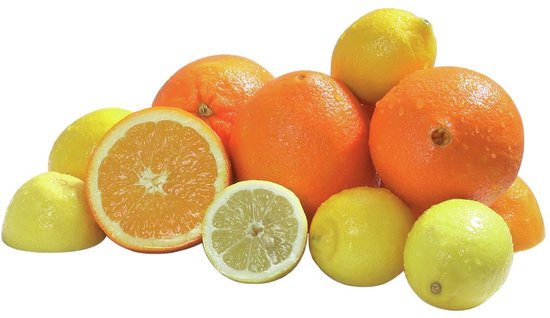 Elektrische citruspers "Joy" - Bartscher van Merkloos — afbeelding 2
