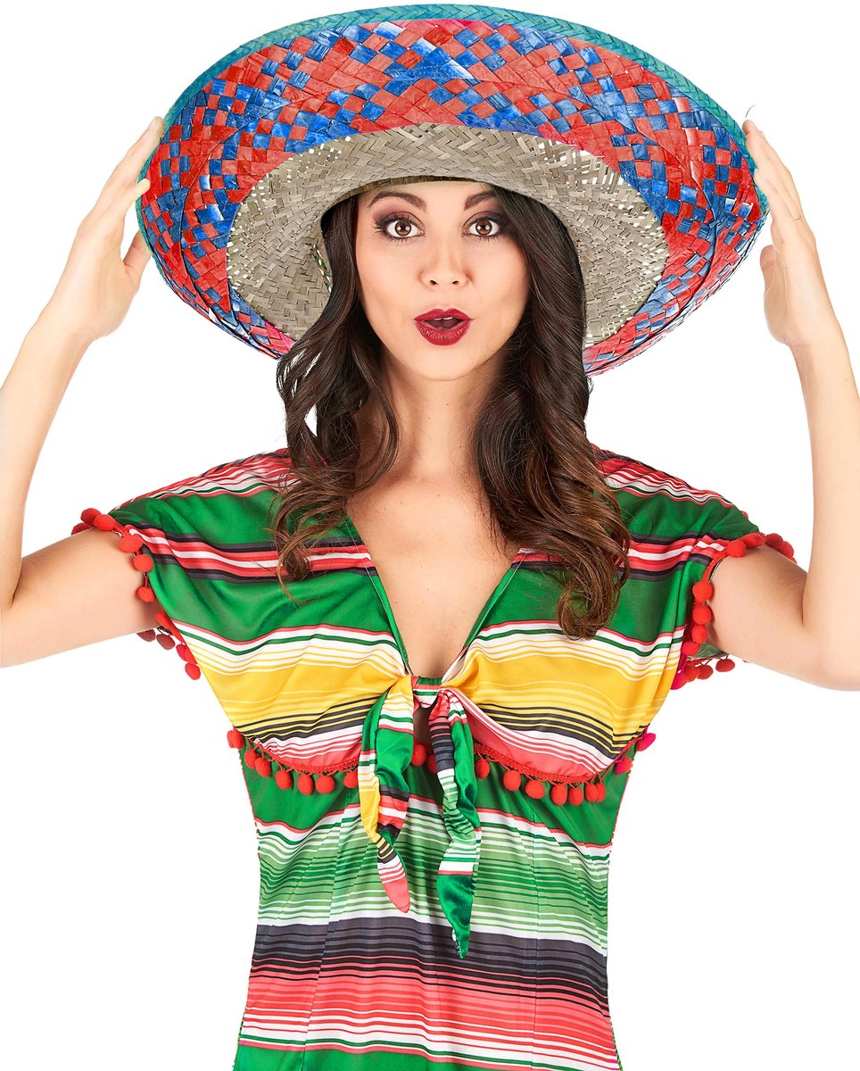 Vegaoo - Sombrero met roze en blauwe rand voor volwassenen