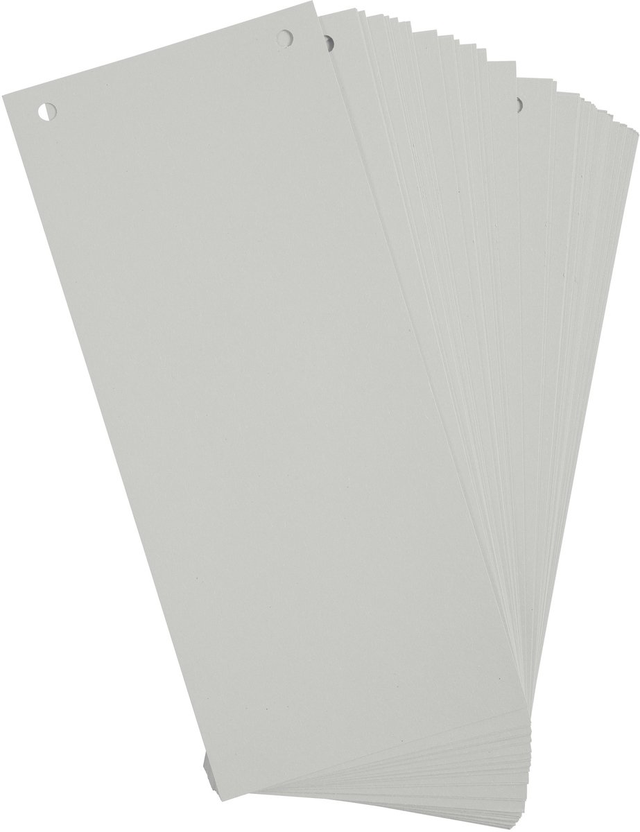 Exacompta 12x FOREVER® Pak van 100 horizontale tabstroken met perforatie 180g - 105x240mm - Grijs - 13485B