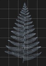 IXXI Botanica Minimalistica, Kubistika - 100 x 140 cm - Gratis ophangtool - Grote wanddecoratie en posters - Minimalistisch, Illustraties, Line art