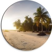 Dibond Muurcirkel - Felle Zonnestralen over het Strand en Palmbomen - 30x30 cm Foto op Aluminium Muurcirkel (met ophangsysteem)