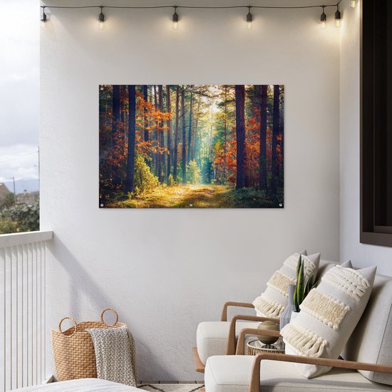 Affiche jardin - Toile jardin - Affiches jardin extérieur - Forêt - Soleil - Nature - Automne - Posters de jardin cm - Jardin
