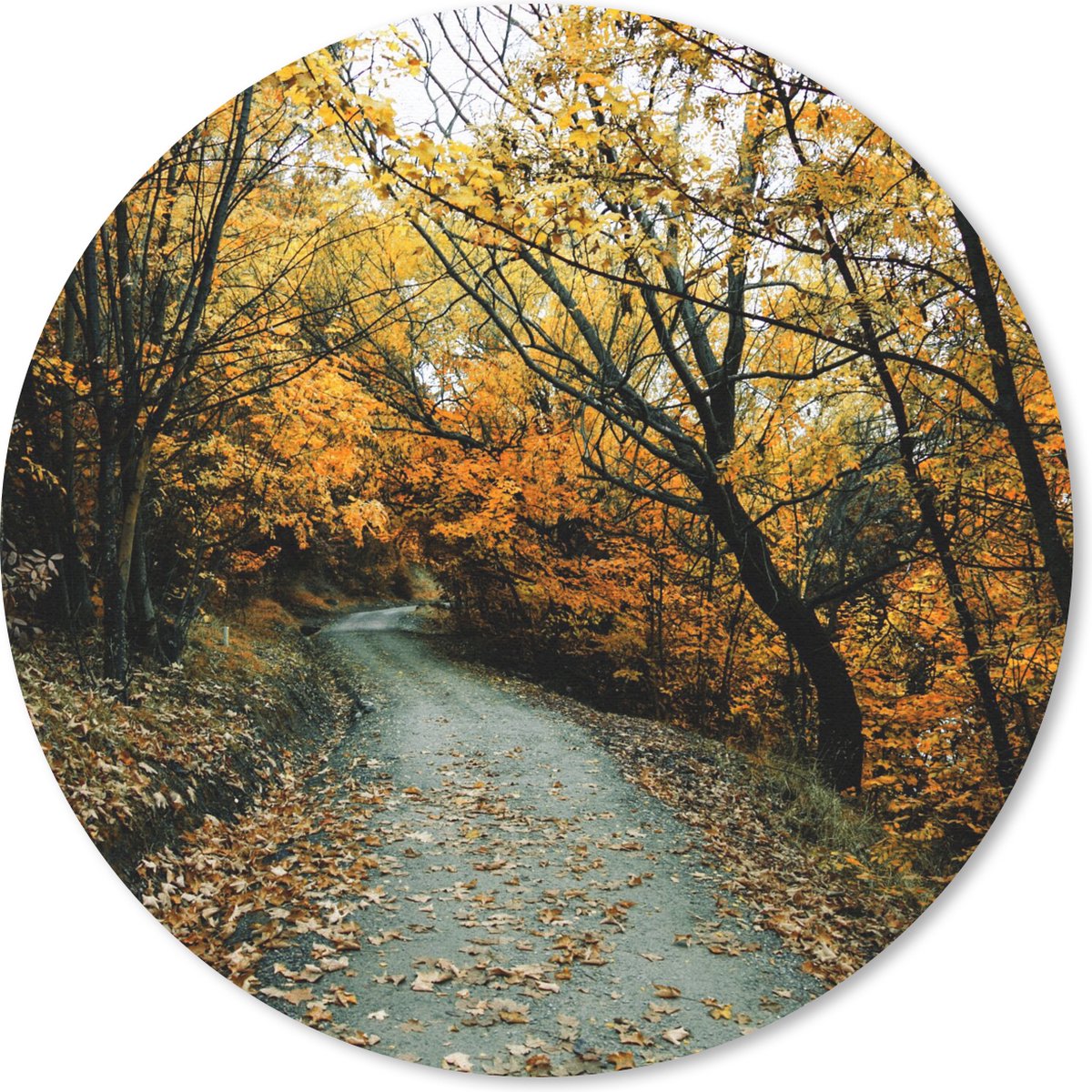 Muismat rond 50x50 cm - Mousepad Bladeren - Herfst - Bos - Ronde muismatten