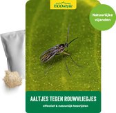 ECOstyle 5 mln Aaltjes F tegen Rouwvliegjes (Varenrouwmug) - Bestrijdingsmiddel Insecten - Natuurlijk & Biologisch - Tegen Bladschade - Jaarrond te Gebruiken - Werken 24 uur per Dag - Voor 25 Kamerplanten - 10 m²