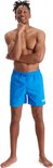 Homme avec le menton sur la main, portant un short de bain bleu.