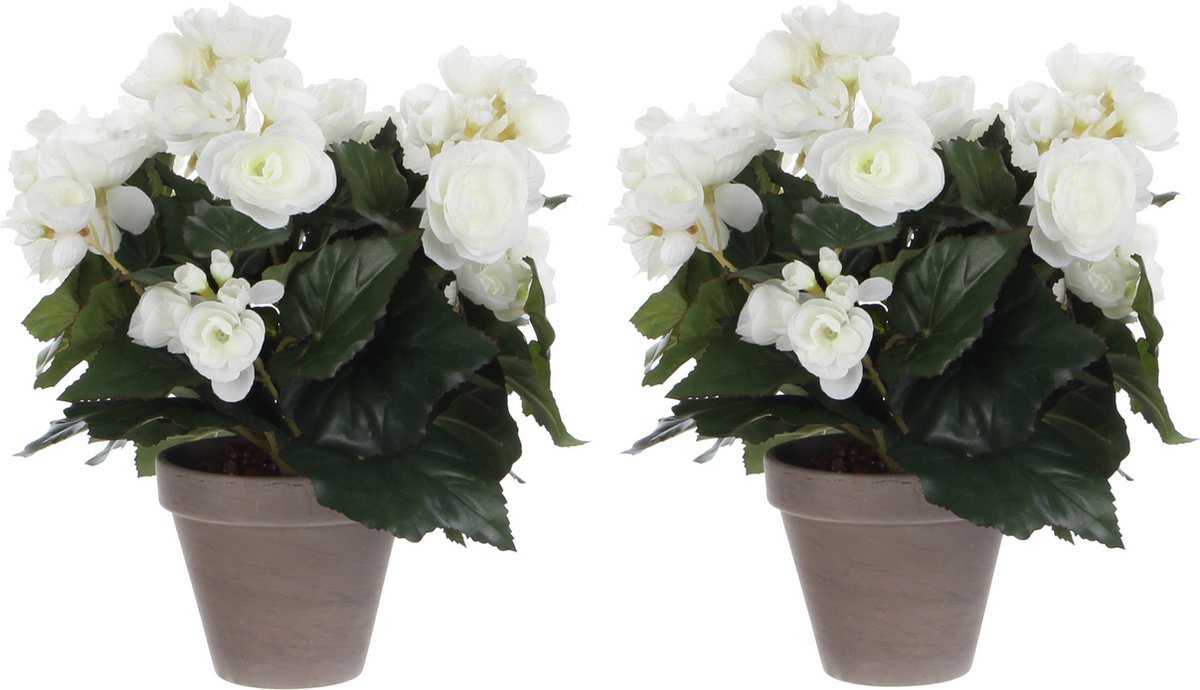 Mica Decorations Mica Decoration Kunstplant - 2x stuks - begonia - wit - in pot - 30 cm - nepplanten