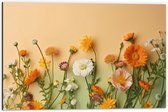 Dibond - Oranje met Witte Bloemen op Oranje Achtergrond - 60x40 cm Foto op Aluminium (Wanddecoratie van metaal)
