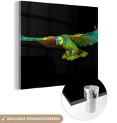 MuchoWow® Glasschilderij 90x90 cm - Schilderij acrylglas - Papegaai - Vogel - Veren - Foto op glas - Schilderijen