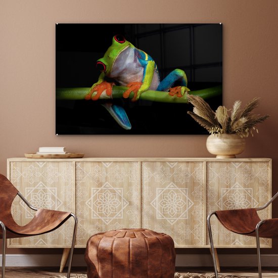 Peinture sur verre - Grenouille - Animaux - Vert - Oranje - Rouge - Photo sur verre - Peinture sur verre - 120x80 cm - Décoration murale