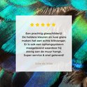 Product afbeelding  9