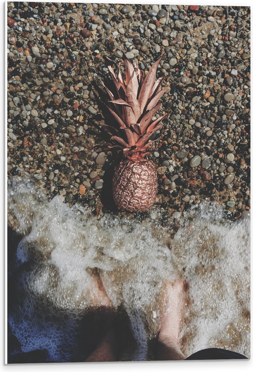 PVC Schuimplaat- Ananas op Kiezelstrand - 40x60 cm Foto op PVC Schuimplaat