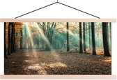 Posterhanger incl. Poster 120x60 cm - Schoolplaat - Herfstbos in Nederland - Textielposter - Blanke latten