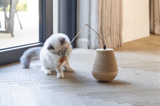 Wit-grijze kat speelt met een speelgoedje met touw en veertjes. Het speelgoed is van hout en touw.
