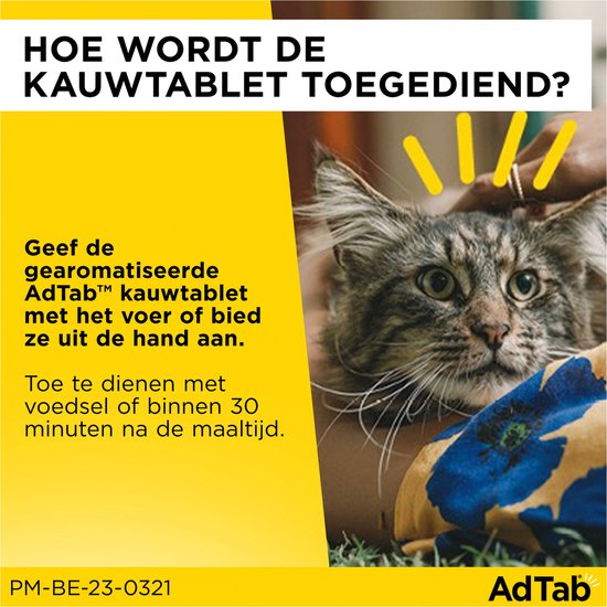 Bruin-grijze kat wordt vertroeteld, met tekst over toediening van AdTab kauwtabletten.