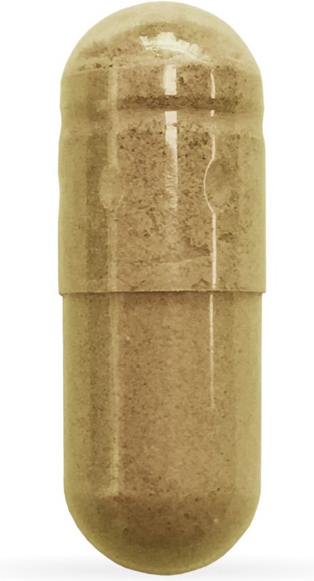Bruine capsule met een lichte ribbel aan de bovenkant, op een witte achtergrond.