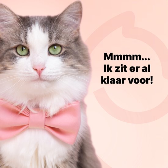 Jake and Jacky Automatische Voerbak - Inclusief 2 RVS Voerbakken & 2 Slowfeeders - Voerautomaat & Anti-Schrokbak - Voerdispenser Kat en Hond - Eetbak voor Katten & Honden - 5 Liter - Zwart