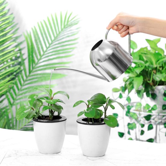 Lot De 2 Arrosoirs 1 Litre Avec Long Bec Inox - Pour Plantes Intérieur Et Jardin - Vert Et Transparent - Graduation Visible