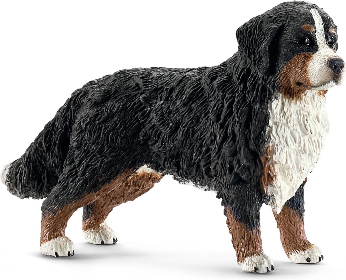 schleich FARM WORLD - Berner Sennenteef - 16397 — afbeelding 2