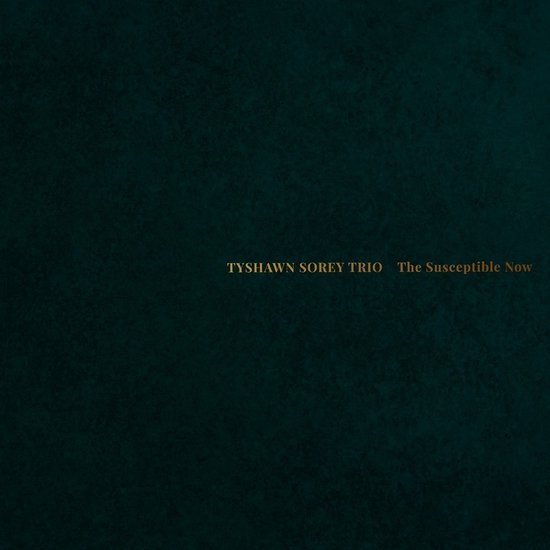 Harish Raghavan, Tyshawn Sorey, Aaron Diehl - The Susceptible Now (CD)