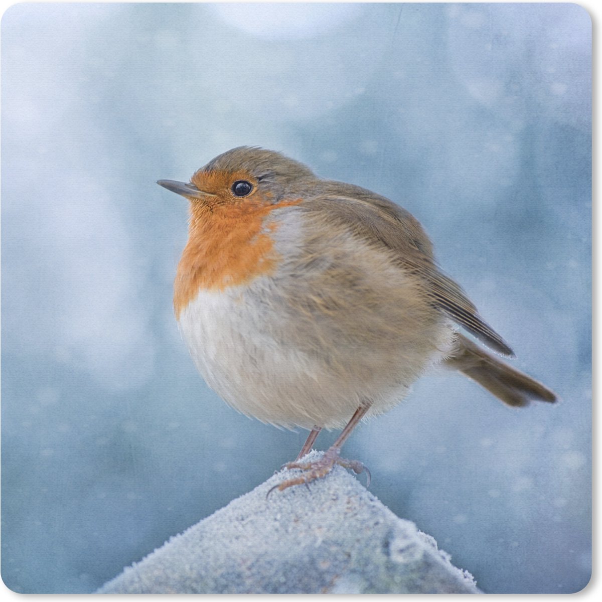 Muismat 20x20 cm - Mousepad Roodborstje - Winter - Blauw - Muismatten