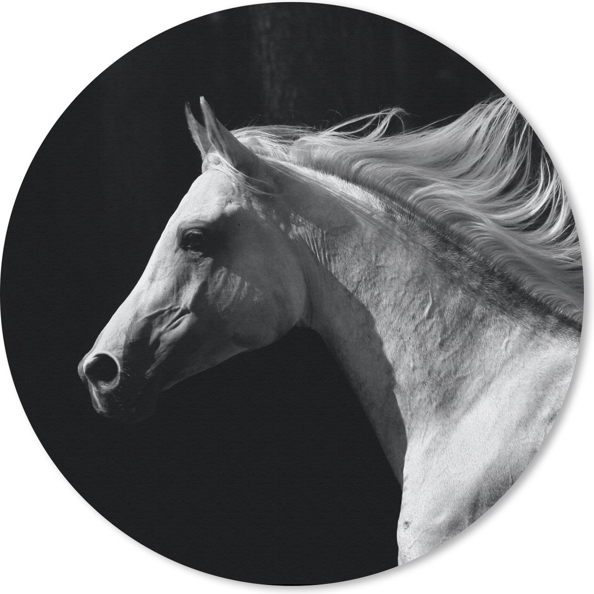 Muismat rond 50x50 cm - Mousepad Paarden - Boerderijdier - Manen - Ronde muismatten