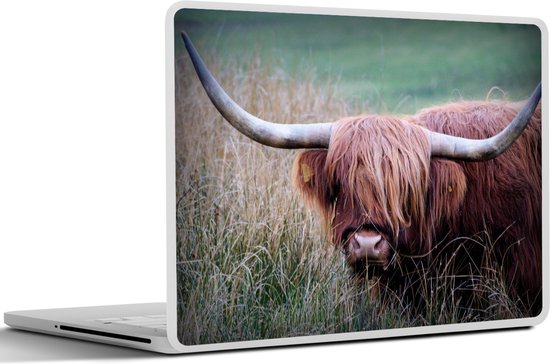 Laptop sticker - 15.6 inch - Schotse Hooglander - Hoorns - Gras - 36x27,5cm - Laptopstickers - Laptop skin - Cover