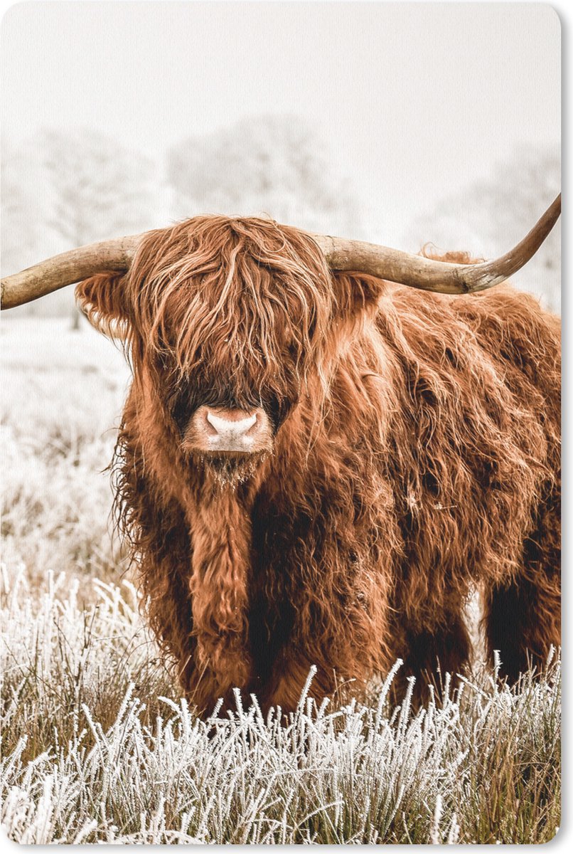 Muismat 18x27 cm - Mousepad Schotse hooglander - Koe - Natuur - Winter - Muismatten