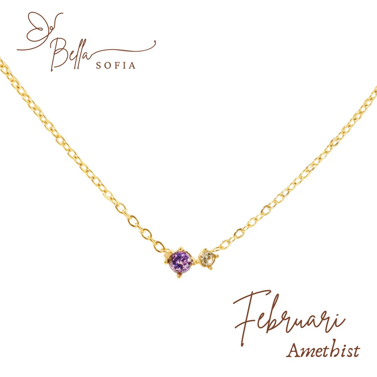 Bella Sofia® Geboortesteen Ketting Februari - Uniek Goudkleurig Dames Sieraad - Valentijnscadeau - Valentijnsdag - Valentijn cadeau voor haar