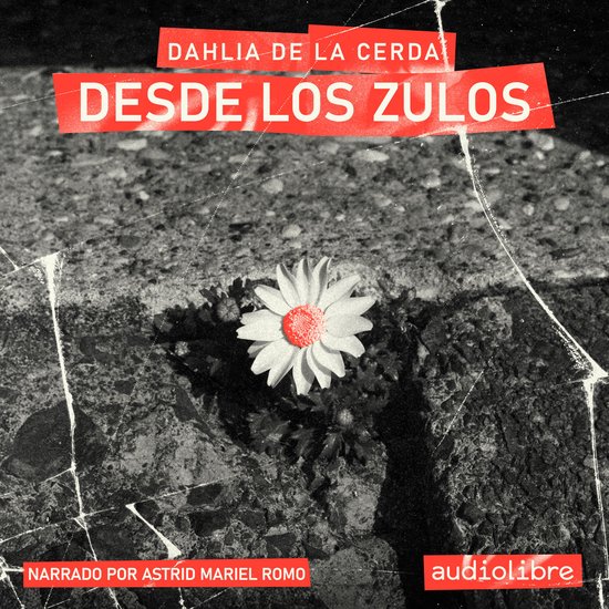 Desde los zulos - cover