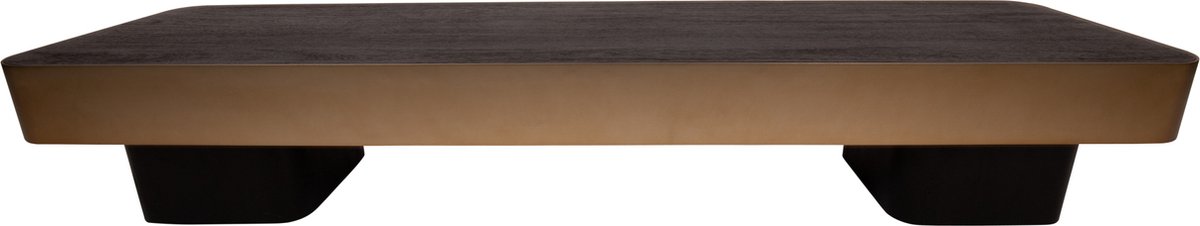 PTMD Salontafel Warren - Bruin - 180x45x31cm
