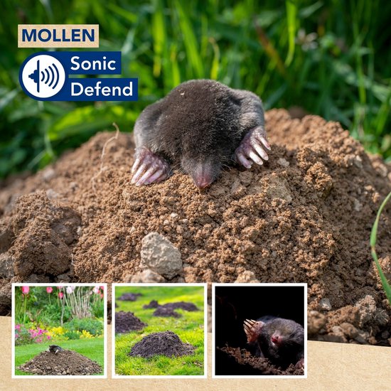 Mol op molshoop met tekst "MOLLEN" "Sonic Defend" en drie kleine afbeeldingen van een molshoop en een mol.