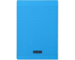 Schriften A4 ruitjes 10mm Blauw Geniet schrift 21x297 cm 48 grote ruiten pagina's 90g wit papier Transparante polypropyleen kaft - Clairefontaine Schriften a4 ruitjes 10mm