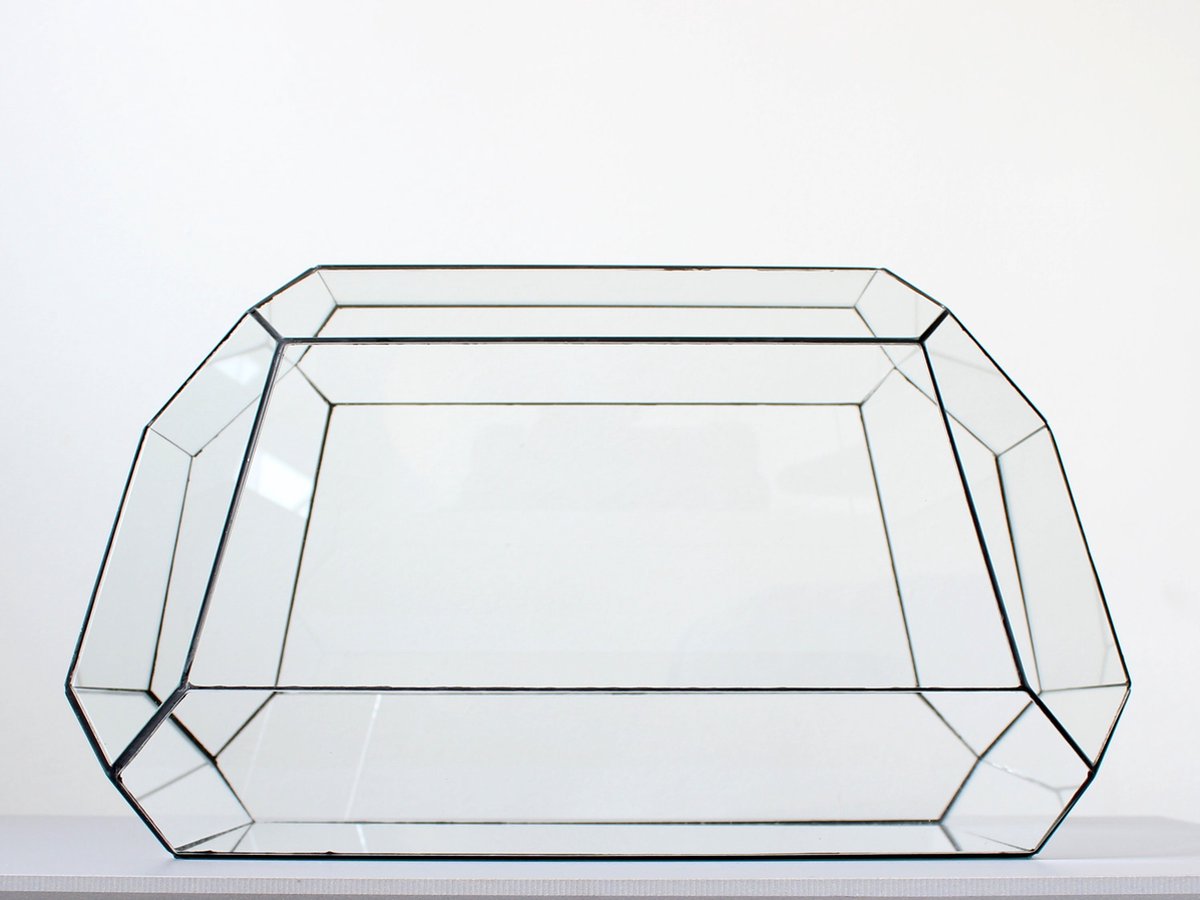 Geometric Terrarium - Nexus - Vivarium - ↑ 41,5 x 21x 23,5 cm (LxWxH) - Glass | Florazo
