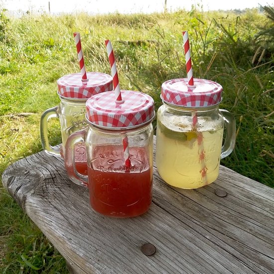 ALINK Glazen bekers van 760 ml met deksel en rietje, geribbelde glazen ALINK Glazen bekers van 760 ml met deksel en rietje, geribbelde glazen