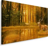 Schilderij - Herten bij een Meer in het Bos, premium Print