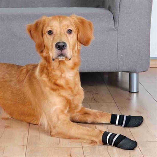 Chaussettes antidérapantes chien hotsell