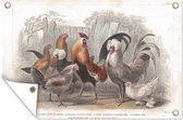Affiche de jardin dessin d'un coq et de poules à la ferme - 120x80 cm - Jardin