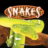 Reptiles! - Snakes