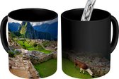 Magische Mok - Foto op Warmte Mok - Lama - Machu Picchu - Gras - 350 ML