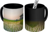 Magische Mok - Foto op Warmte Mok - Verlaten blokhuis in het midden van een rijstveld tijdens de zonsopgang - 350 ML