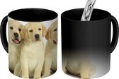 Magische Mok - Foto op Warmte Mok - Drie witte puppy's op een rij - 350 ML