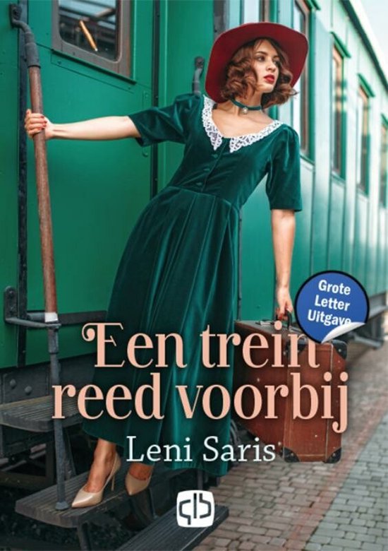 Een trein reed voorbij - cover