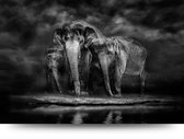Maison de France - Canvas Duinen - strand en zee – 5 - canvas - 60 x 90 cm