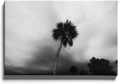 Walljar - Palm In Storm - Muurdecoratie - Canvas schilderij