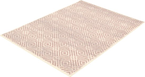 Ember Zilver/Roze tapijt - 310 x 240 cm