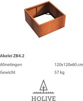 Cortenstaal Akelei ZB4.2 Vierkant zonder bodem 120x120x60 cm. Plantenbak