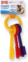 Nylabone Puppy Teething Key Flexible Geel&Blauw&Rood - Hondenspeelgoed - Small Tot 11kg