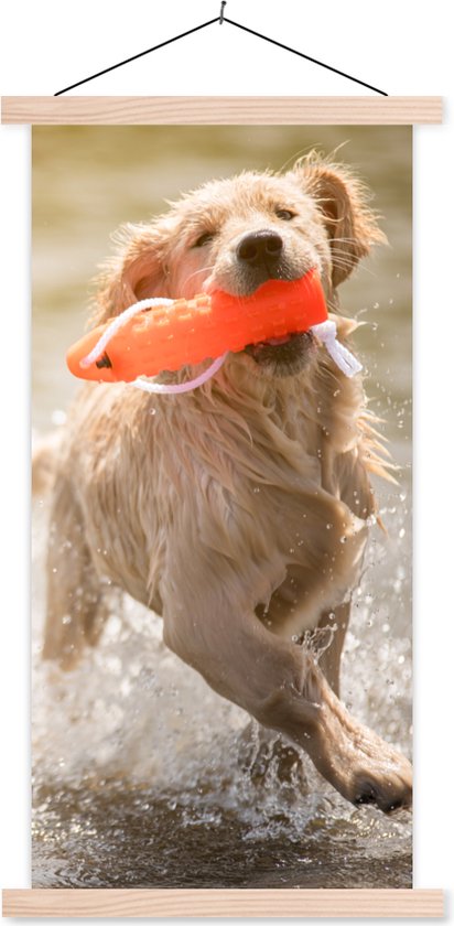 Affiche Humoristique Golden Retriever Sur La Plage - Décoration Murale Chien - Cadeau Amoureux Des Chiens